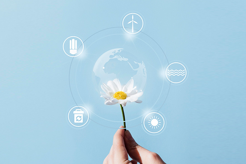 ISO 50001: Gestión de la Energía