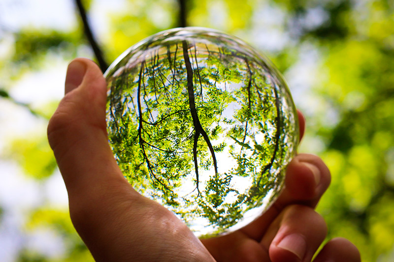 Certificación ISO 14001: impacto ambiental